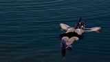 Jury member floating on the Dead Sea, reading the festival catalog, July 25, 2022.