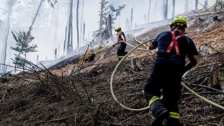 رجال الإطفاء التشيكيون يواصلون محاولة احتواء الحرائق 26/07/2022