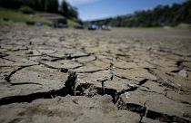 Fransa'da kuraklık tehlikesi artıyor