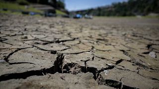 Fransa'da kuraklık tehlikesi artıyor