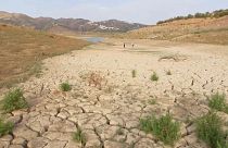 Algumas áreas, na Andaluzia, já têm condições semelhantes às das zonas desérticas do norte de África.