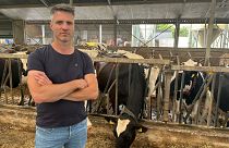 Panaszkodnak a holland gazdák: a kibocsátáscsökkentés miatt bizonytalan a jövőjük