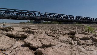 Terreno arido in Romania a causa della siccità