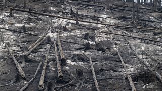 Пепелище после пожара в чешском крае Усти-над-Лабем 