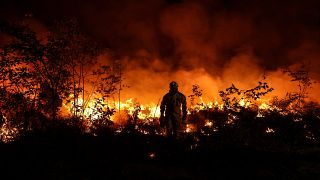 حريق هائل يدمر نحو ألف هكتار بالقرب من منطقة أوبينا في جنوب شرق فرنسا. 