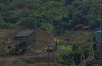 Umstrittene Rodung in Mumbai: Nachwachsende Ressourcen wie Holz sind für dieses Jahr verbraucht.