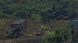 Umstrittene Rodung in Mumbai: Nachwachsende Ressourcen wie Holz sind für dieses Jahr verbraucht.