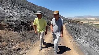 Un paseo por tierra calcinada en Granada junto al experto en regeneración de la biodiversidad Jorge Castro