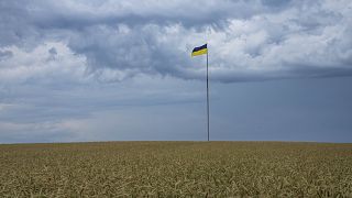 Η σημαία της Ουκρανίας σε κάμπο κοντά στο Κίεβο (φωτό αρχείου)