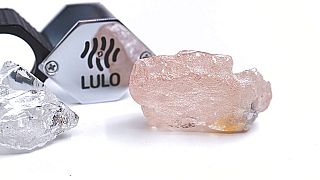 Diamante de 170 quilates "Rosa do Lulo"
