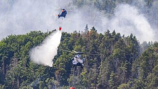 Des bombardiers d'eau luttent contre des incendies de forêt