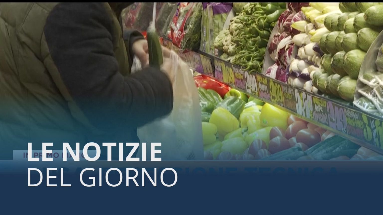 Le notizie del giorno | 29º luglio - Mattino