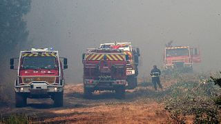 Fransa'da orman yangınları