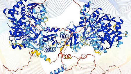 A human protein structure