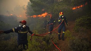 Αξιωματικοί της Πυροσβεστικής στη μάχη κατάσβεσης της πυρκαγιάς (φωτογραφία αρχείου)