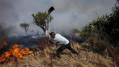 Βίντεο. Μεγάλες δασικές πυρκαγιές σε Τουρκία και Γαλλία - Έντονη ξηρασία