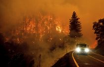 Fast moving McKinney fire burns forest in US