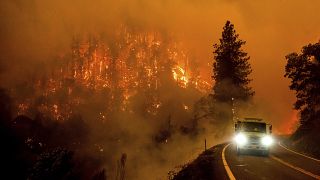 Tűzoltó menekül az erdőtűz elől a 96-os autópályán Kalifornia államban
