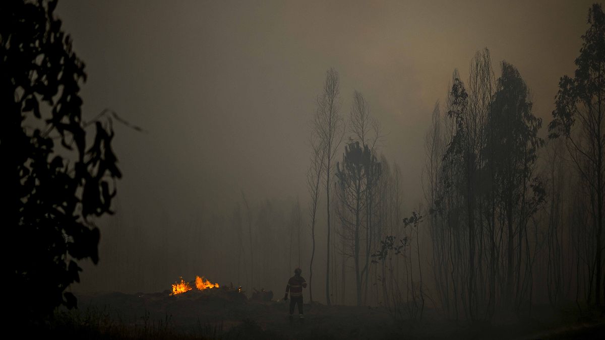 اندلع الحريق في منطقة مافرا التي تقع إلى شمال العاصمة لشبونة 