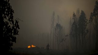 اندلع الحريق في منطقة مافرا التي تقع إلى شمال العاصمة لشبونة