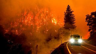 L'incendie ravage la forêt nationale de Klamath. 