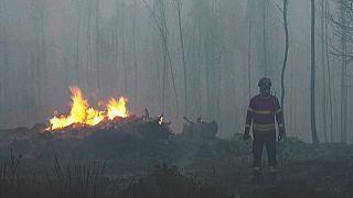 Un pompier se tient à proximité d'un feu, au cœur de l'incendie dans la zone de Mafra