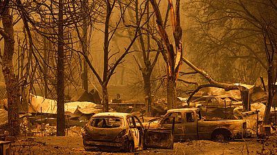 Les véhicules détruits dans la forêt de Klamath en Californie