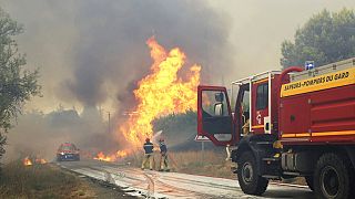 Los bomberos echan agua a los árboles en un incendio forestal en Aubais, sur de Francia, 31 de julio de 2022