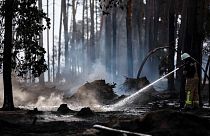 Un vigile del fuoco spegne un incendio vicino a Falkenberg, Germania
