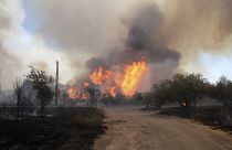 Пожар в департаменте Гар уничтожил 370 гектаров леса