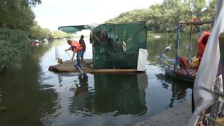 Volunteers clean River Tisza in Hungary