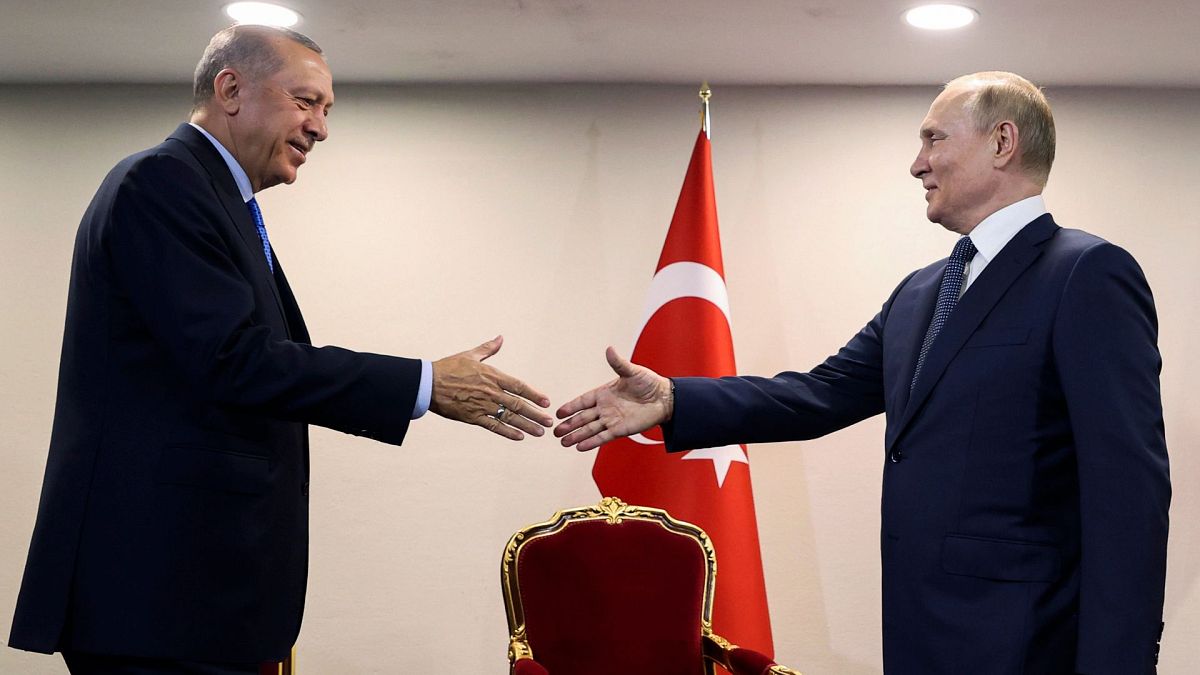 رجب طیب اردوغان و ولادیمیر پوتین