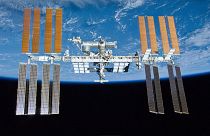 The tiny robot will arrive on the International Space Station in 2024.