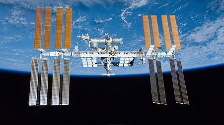 The tiny robot will arrive on the International Space Station in 2024.