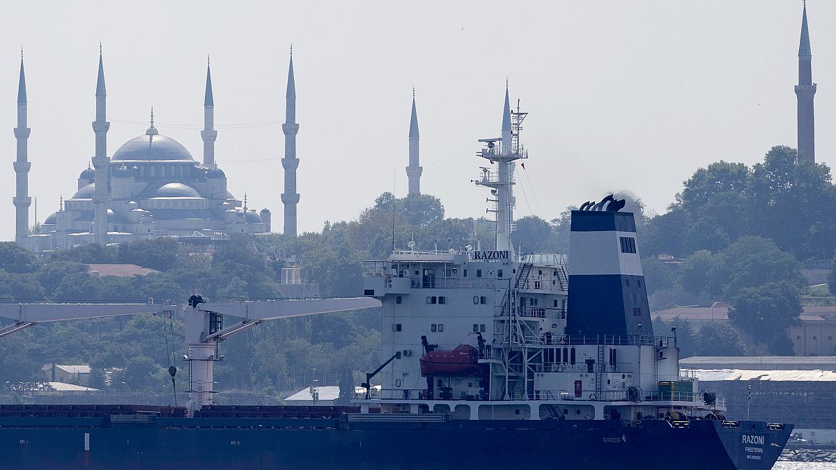 السفينة المحملة بأول شحنة من الحبوب الأوكرانية تعبر مضيق البوسفور في اسطنبول.