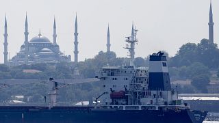 السفينة المحملة بأول شحنة من الحبوب الأوكرانية تعبر مضيق البوسفور في اسطنبول.