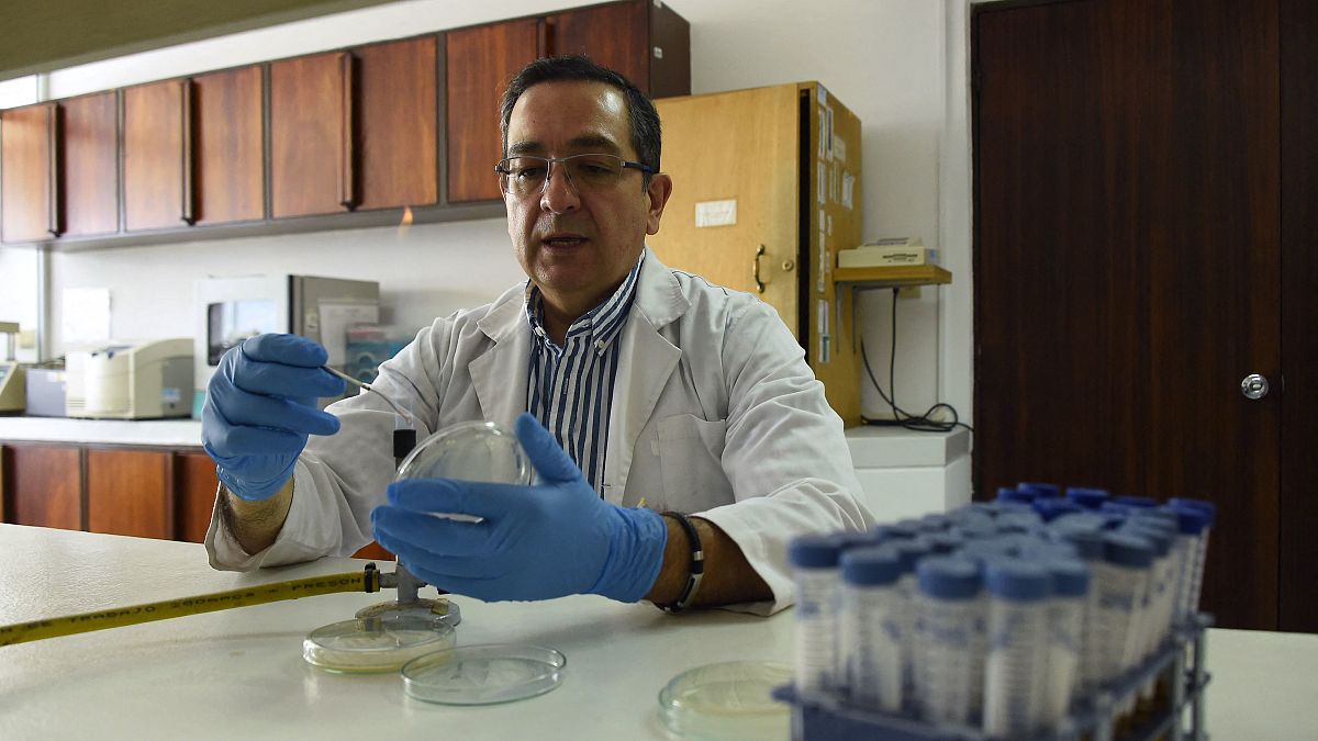 Ekvadorlu biliminsanı Javier Carvajal tarihi mayayı laboratuvar tüplerinde çoğaltmayı başardı