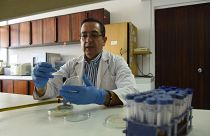 Ekvadorlu biliminsanı Javier Carvajal tarihi mayayı laboratuvar tüplerinde çoğaltmayı başardı