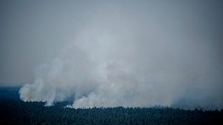 دخان يتصاعد في غابة جرونيفالد في برلين  يوم الخميس 04/08/2022