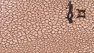 Image d'archive. Un homme marche sur un réservoir sec et fissuré dans l'est de l'Espagne.