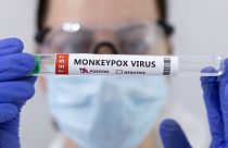 Test tubes labelled "Monkeypox virus positive" are seen in this illustration taken May 23, 2022