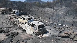Los incendios forestales han arrasado más de 1 000 hectáreas en Galicia, 600 de ellas solamente en Verín.