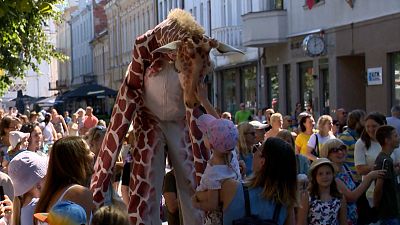 نمایش زرافه‌های کاتالان در خیابان‌های دومین شهر بزرگ لیتوانی