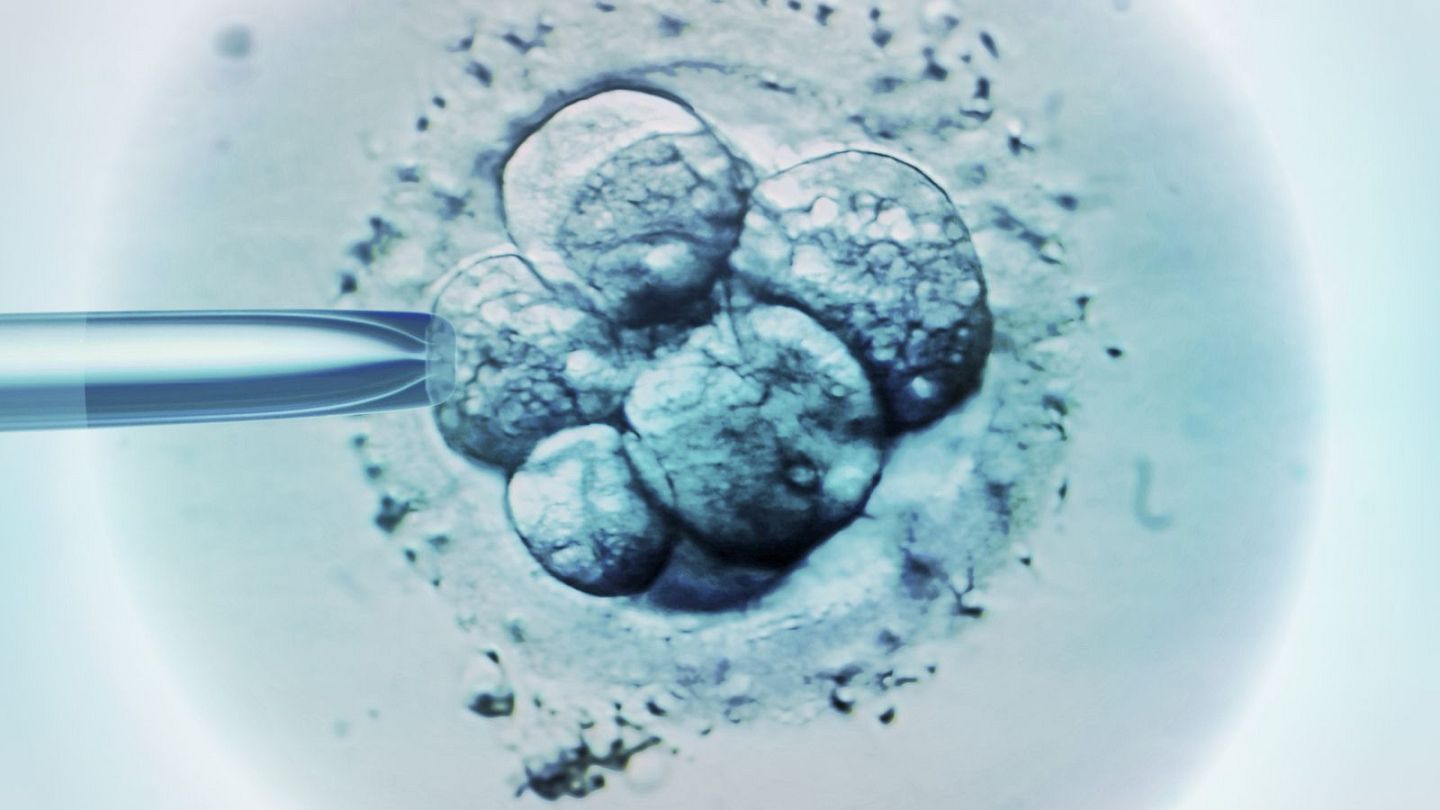 Scientists create the world’s first ‘synthetic’ embryos without using sperm or eggs