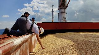 Autoridades turcas a inspecionar navio Razoni com cereais vindos da Ucrânia em Istambul, Turquia