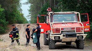 Polícia, bombeiros e silvicultores franceses procuram origem dos incêndios