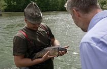 Cómo ayuda la República Checa al medioambiente criando peces en estanques