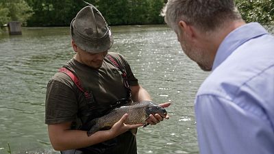 Cómo ayuda la República Checa al medioambiente criando peces en estanques