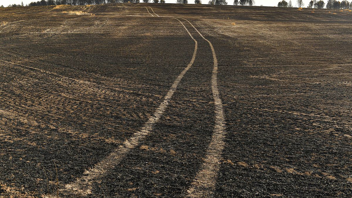 Vista del paisaje quemado tras los incendios forestales que afectaron el norte de España, el 16 de junio de 2022. 