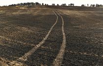 Vista del paisaje quemado tras los incendios forestales que afectaron el norte de España, el 16 de junio de 2022.